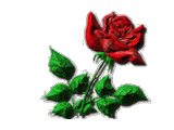 pic for I LOVE YOU